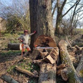 Quereinsteiger willkommen: Wir suchen motivierte Mitarbeiter für Sicherung und Baumpflege